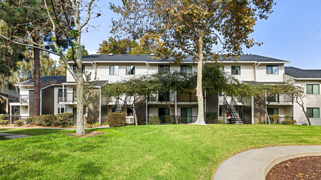 Briarwood in Sunnyvale, CA - Foto de edificio - Building Photo