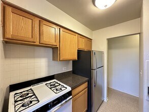 533 W Aldine Ave in Chicago, IL - Building Photo - Building Photo