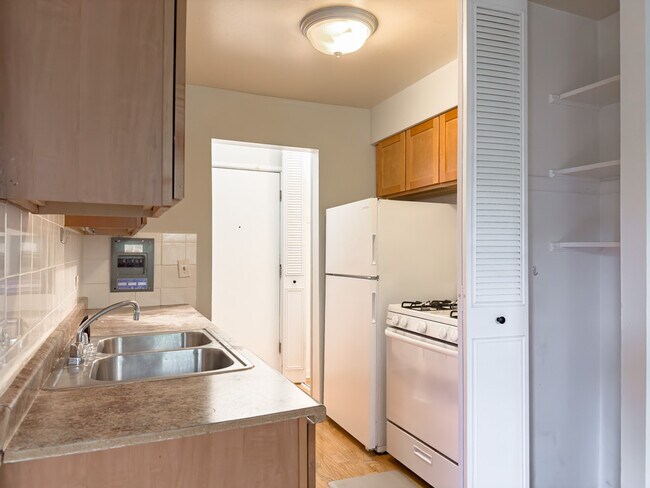 515 W Briar Pl in Chicago, IL - Building Photo - Building Photo