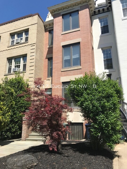 1437 Euclid St NW in Washington, DC - Building Photo