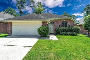 3315 Candlepine Dr in Spring, TX - Building Photo