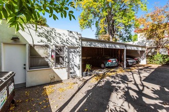 4943 Coldwater Canyon Ave in Sherman Oaks, CA - Building Photo - Building Photo