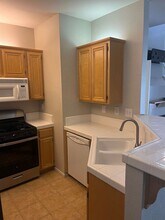 1011 Esparanza Way in San Jose, CA - Building Photo - Building Photo