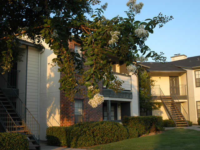 Ashwood Park Apartments in Dallas, TX - Building Photo - Building Photo