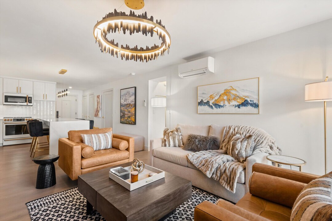 205 E Durant Ave in Aspen, CO - Building Photo