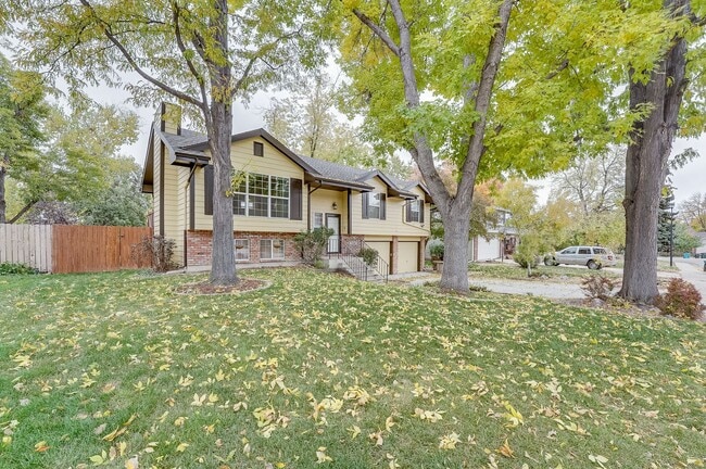 Beautiful Split-Level 4 Bed 3 Bath Home in Central Fort Collins! in Fort Collins, CO - Building Photo - Building Photo