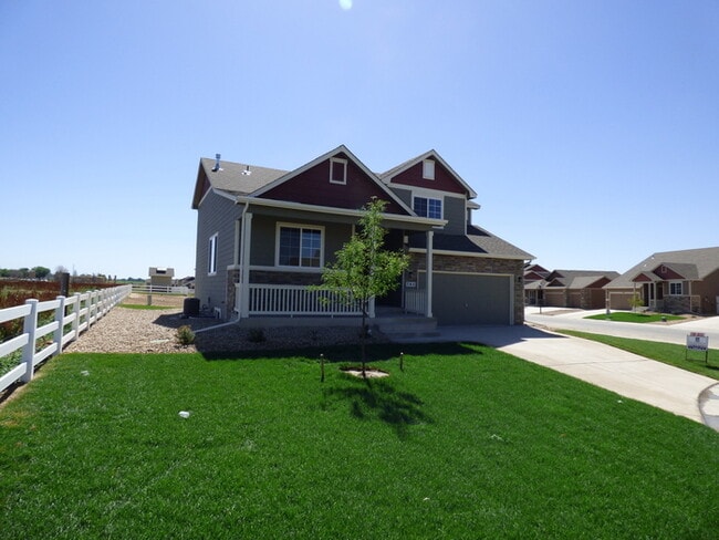 764 Lakebrook Ct in Windsor, CO - Building Photo - Building Photo