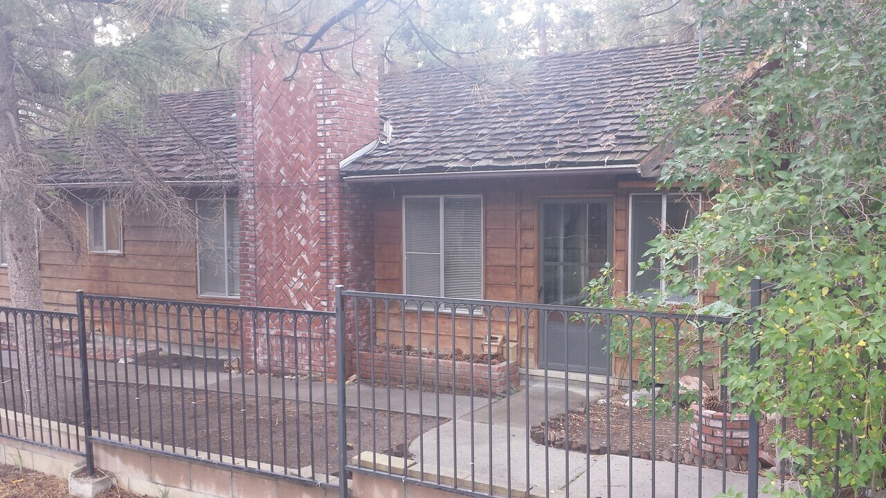 345 W Aeroplane Blvd in Big Bear, CA - Building Photo