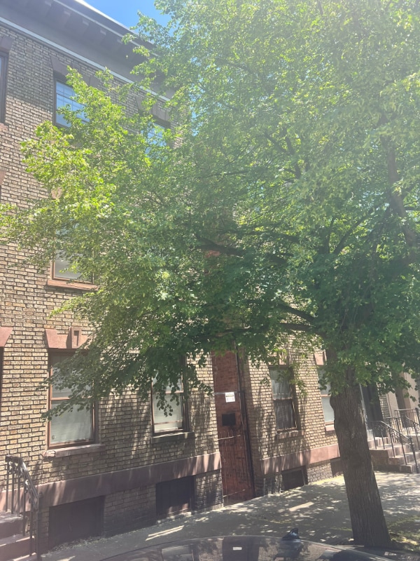 371 Hudson Ave in Albany, NY - Building Photo - Building Photo