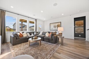 21919 Hat Crk Dr in Hockley, TX - Building Photo