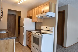924 4th St SW, Unit 207 in Forest Lake, MN - Building Photo