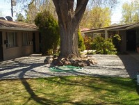 140 La Rue Ave in Reno, NV - Foto de edificio - Building Photo