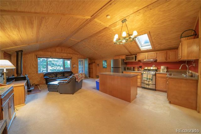 1772 Co Rd 4 in Fairplay, CO - Building Photo - Building Photo