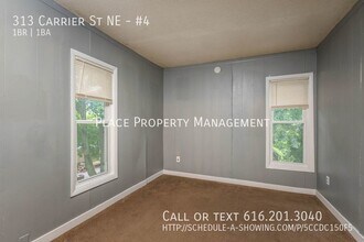 313 Carrier St NE in Grand Rapids, MI - Building Photo - Building Photo