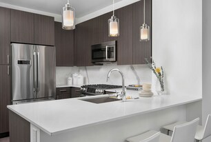 401 E Illinois St, Unit 1 in Chicago, IL - Building Photo