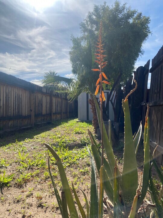 8461 W Washington St in Peoria, AZ - Building Photo