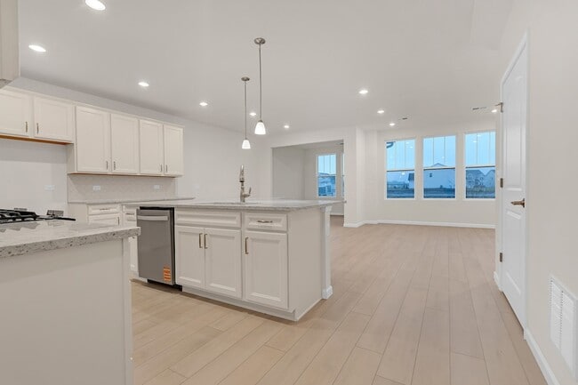 668 Switchgrass Wy in Bolingbrook, IL - Building Photo - Building Photo