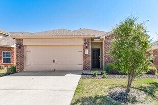 341 Soap Tree Dr in Princeton, TX - Building Photo