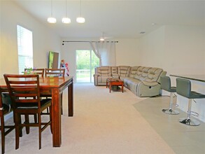 16858 Secret Meadow Dr in Odessa, FL - Foto de edificio - Building Photo