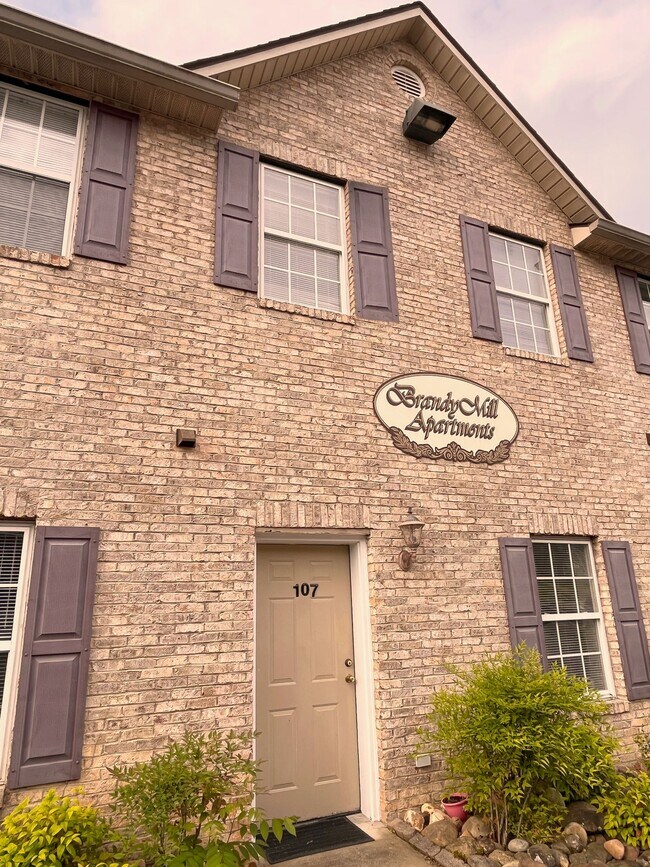 Brandy Mills Apartments in Johnson City, TN - Building Photo - Building Photo