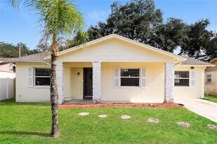 8807 Spruce Ln in Tampa, FL - Building Photo