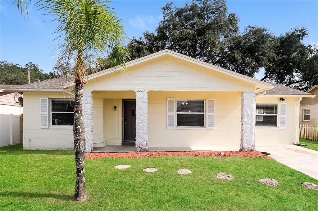 8807 Spruce Ln in Tampa, FL - Building Photo