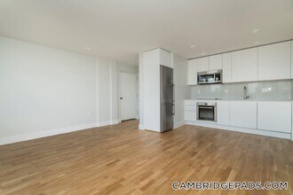 334 Harvard St, Unit K6 in Cambridge, MA - Building Photo - Building Photo