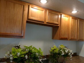 911 Johnson St in La crosse, WI - Foto de edificio - Building Photo