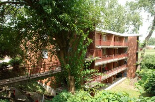 248 W Norwich Ave in Columbus, OH - Building Photo