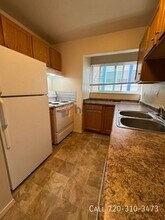 995 Holli Springs Ln in Colorado Springs, CO - Building Photo - Building Photo