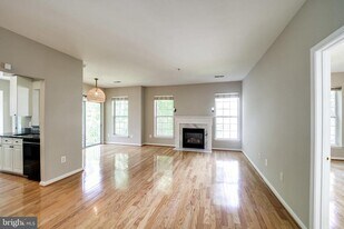 5982 Founders Hill Ct in Alexandria, VA - Building Photo