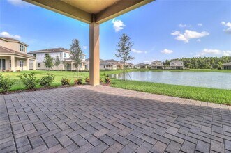 31045 Lindentree Dr in Wesley Chapel, FL - Building Photo - Building Photo