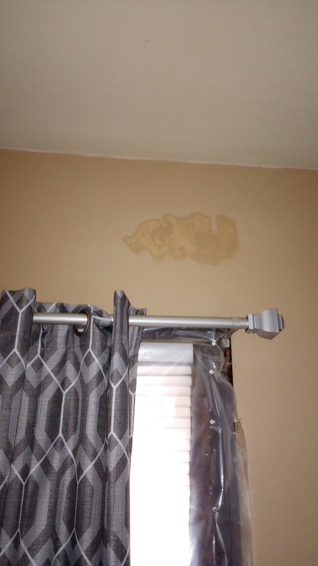 property at 210 E Walnut St