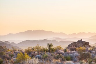 Solana Villas in Buckeye, AZ - Building Photo - Building Photo