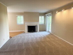 602 Stone Cir Ct in Schaumburg, IL - Building Photo - Building Photo