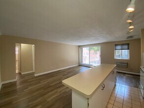 123 Sewall Ave, Unit 1A in Brookline, MA - Building Photo - Building Photo