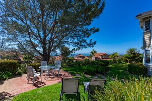 1165 Wales Dr in Encinitas, CA - Building Photo