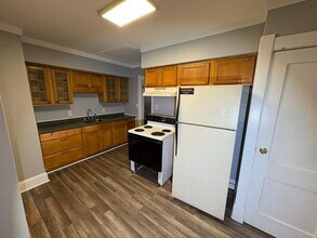 261 Spring Grove Ave in Toledo, OH - Foto de edificio - Building Photo