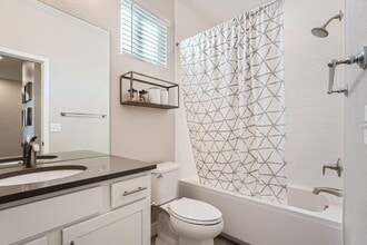 2502 Colt Wy in Lafayette, CO - Building Photo - Building Photo