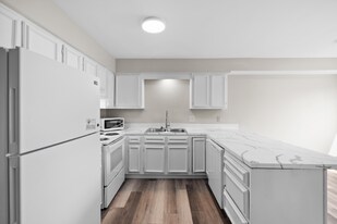 6301 Frankn Dot Dr in Lansing, MI - Building Photo