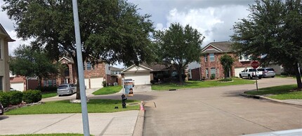 9006 S Ferndale Pl Dr in Houston, TX - Building Photo - Building Photo