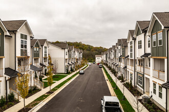 Maple Grove in Nashville, TN - Foto de edificio - Building Photo