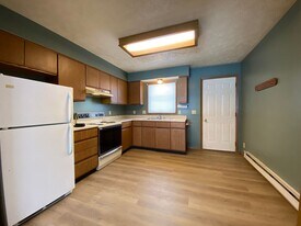 208 S Spring St in Wakarusa, IN - Building Photo