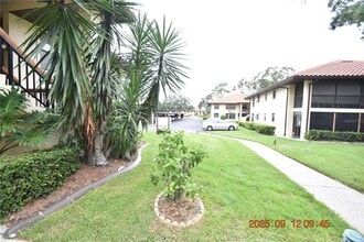 2306 Hammock Pine Blvd in Clearwater, FL - Building Photo - Building Photo