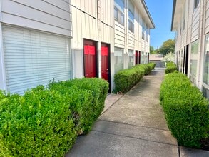 San Benito in Dallas, TX - Foto de edificio - Building Photo