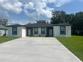 519 Blackbird Ln in Kissimmee, FL - Building Photo