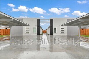 1001 W Sunset Valley St in Alton, TX - Building Photo