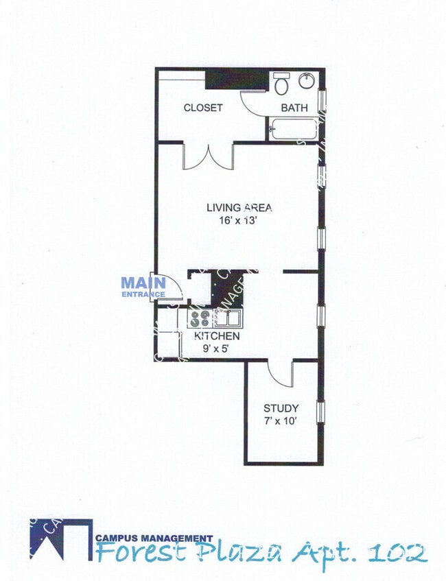 715 S Forest Ave in Ann Arbor, MI - Building Photo - Building Photo