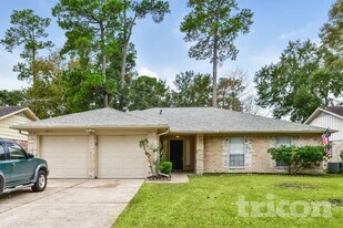 16311 Green Shade Dr in Houston, TX - Building Photo