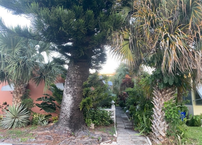 728 SE 19th Ave in Deerfield Beach, FL - Foto de edificio - Building Photo